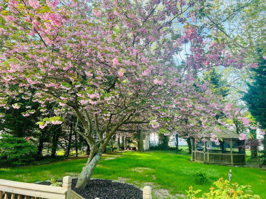 Cozy Getaway - 5 Min Drive To Beach كيب ماي المظهر الخارجي الصورة